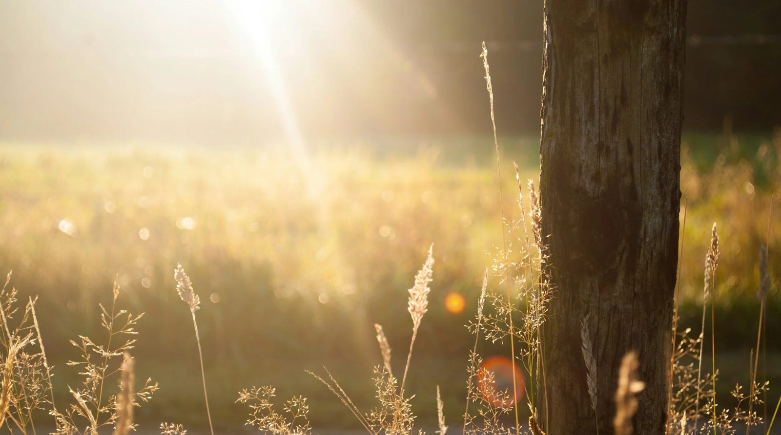 Why Your Vitamin D Might Be Low Even in the Summer